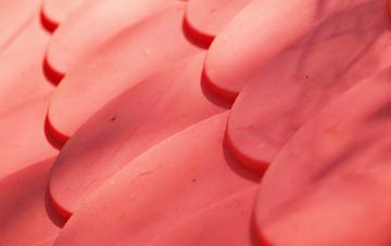 Littler plastic roof costs