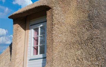Littler thatch roof disadvantages
