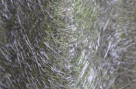 Littler fibreglass roof work